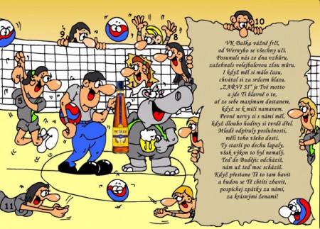 přání k narozeninám - volejbal